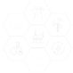 Sectors